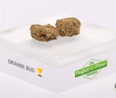 orangebud et cannabis la différence?