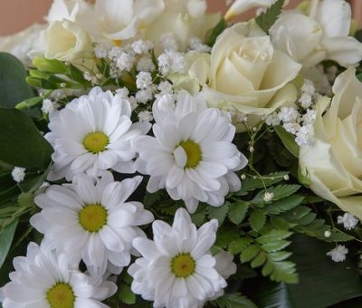Pourquoi les fleurs sont-elles le choix commun à envoyer lors des funérailles ?