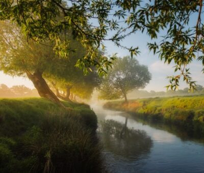 paysages enchantés