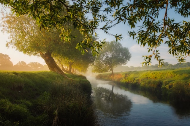 paysages enchantés