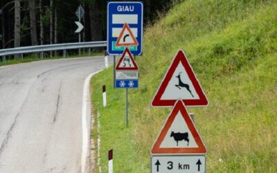 Vitesse les limitations à connaître selon les types de route