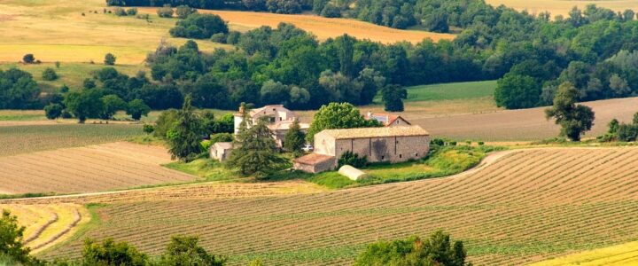 Les nombreux avantages de faire appel à un vitrier local à Chaingy Les nombreux avantages de faire appel à un vitrier local à Chaingy