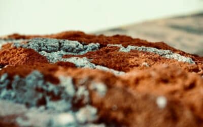Close-up of rough textured ground with scattered pebbles