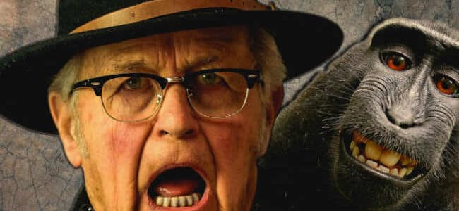 amusement pour senior