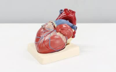 maladies cardio-vasculaires