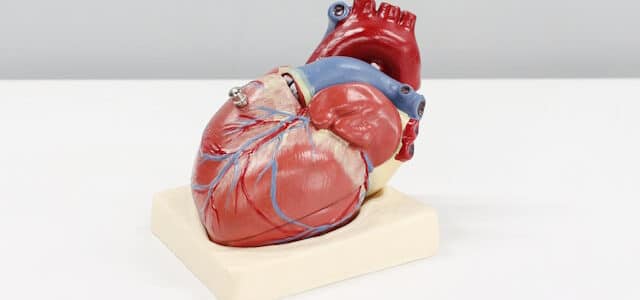 Prévenir les maladies cardio-vasculaires au quotidien Prévenir les maladies cardio-vasculaires au quotidien