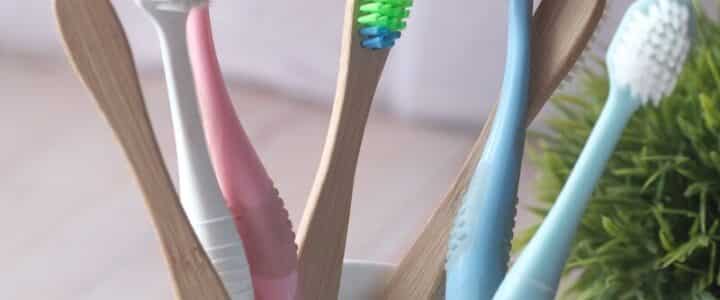 Changer sa brosse à dent : à quelle fréquence le faire